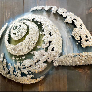 Sea Shell